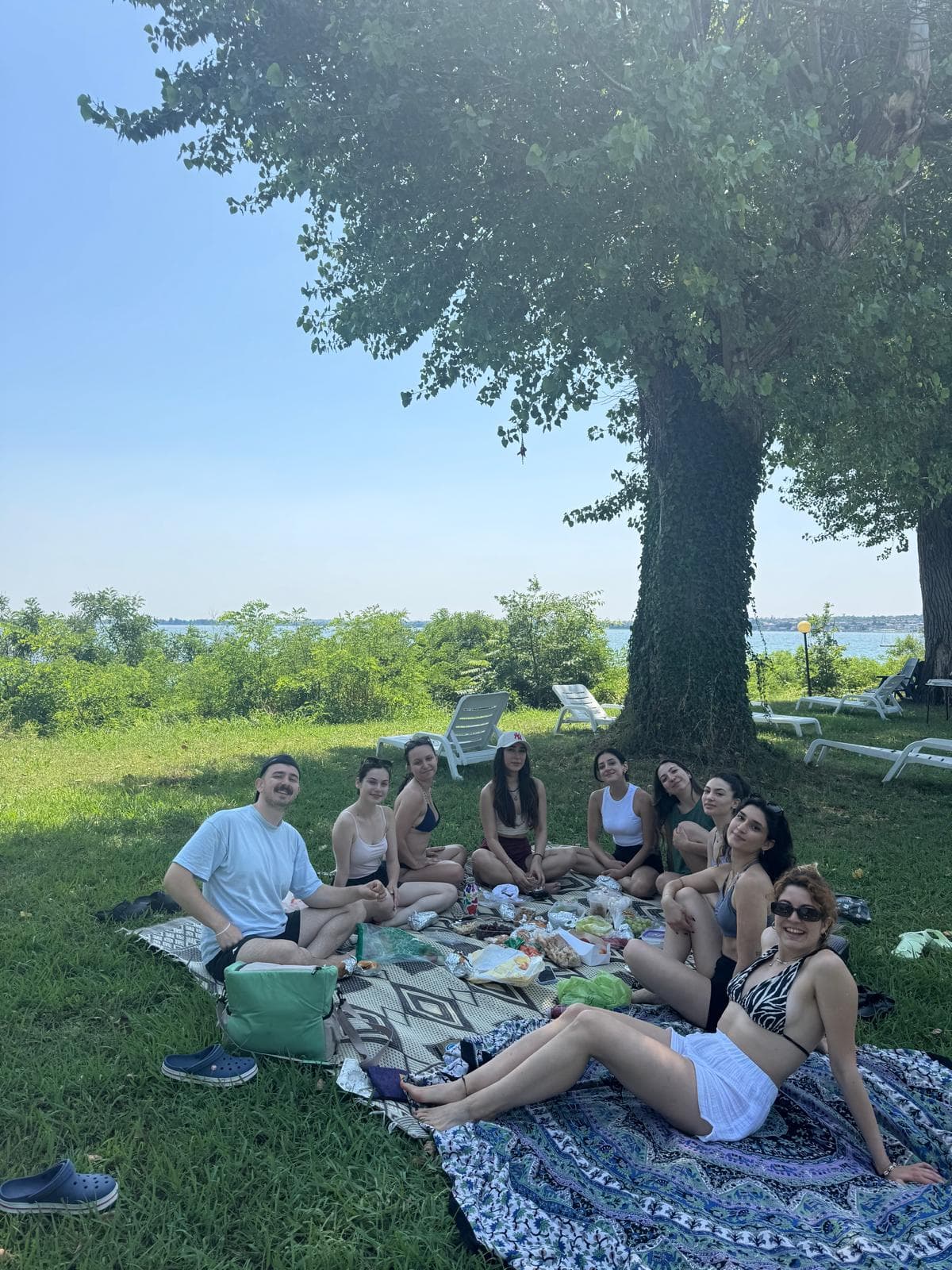 Community picnic under a tree by the lake